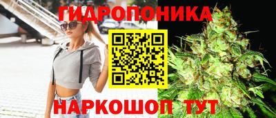винт Тверь