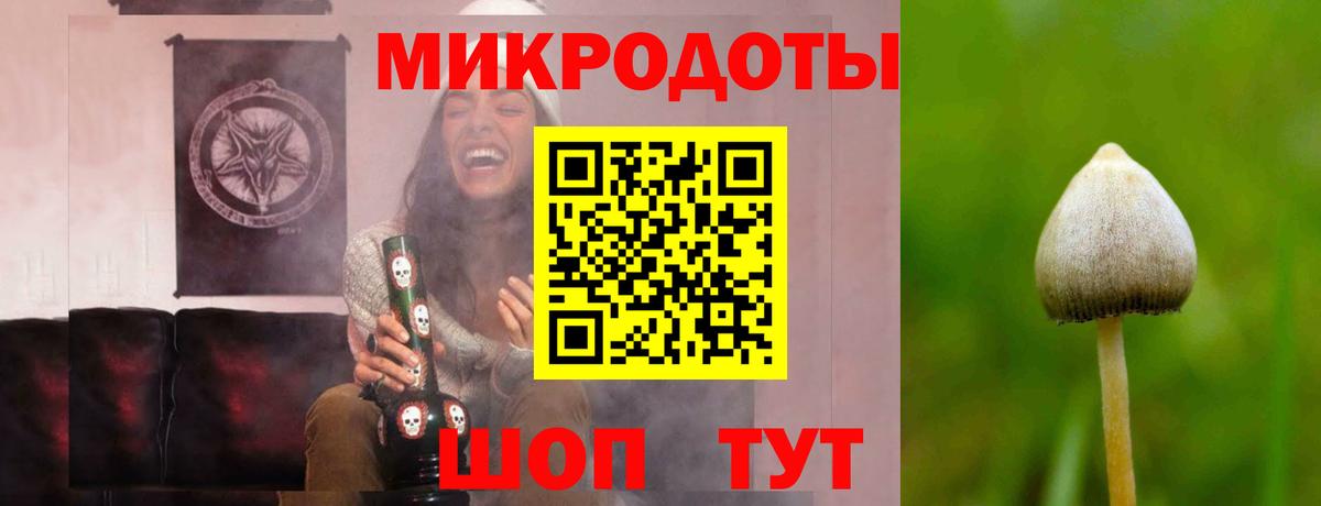 магазин    Вход с VPN  Новошахтинск  Псилоцибиновые грибы ЛСД  Галлюциногенные грибы мицелий 